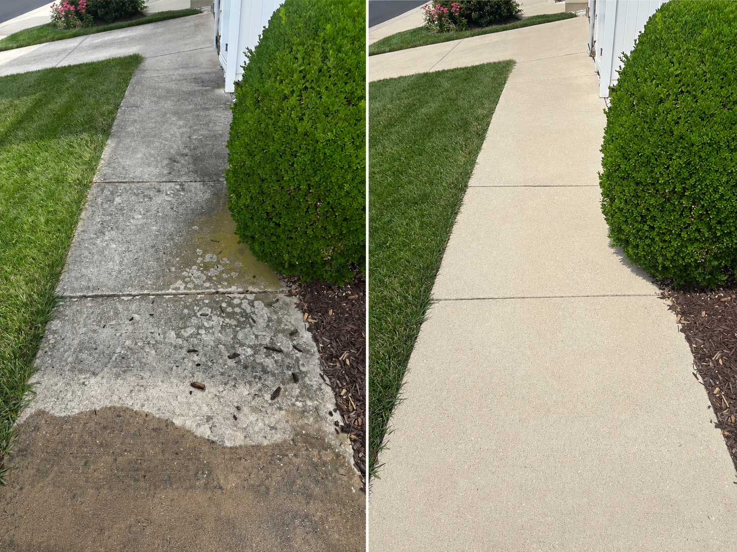 Sidewalk Restoration in Lewes, DE